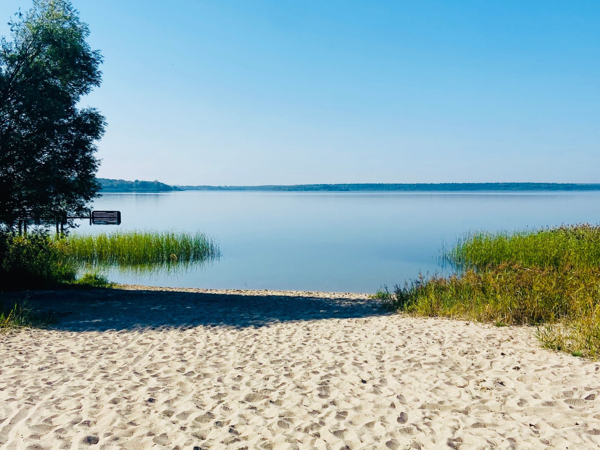 Der Strand 60m vom Ferienhaus Seegelblick entfernt
