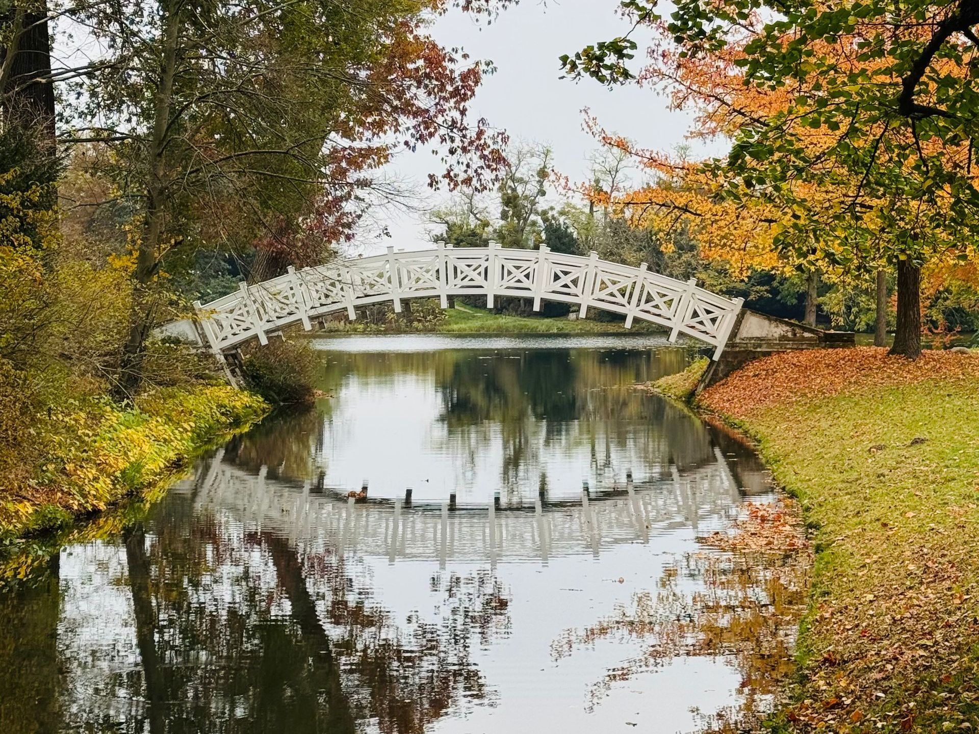 Die weiße Brücke im Gartenreich Wörlitz