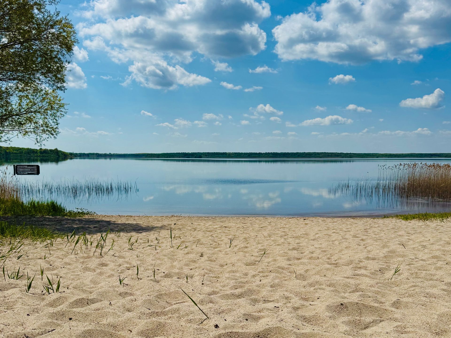 Strand nur 60m vom Ferienhaus Seegelblick entfernt
