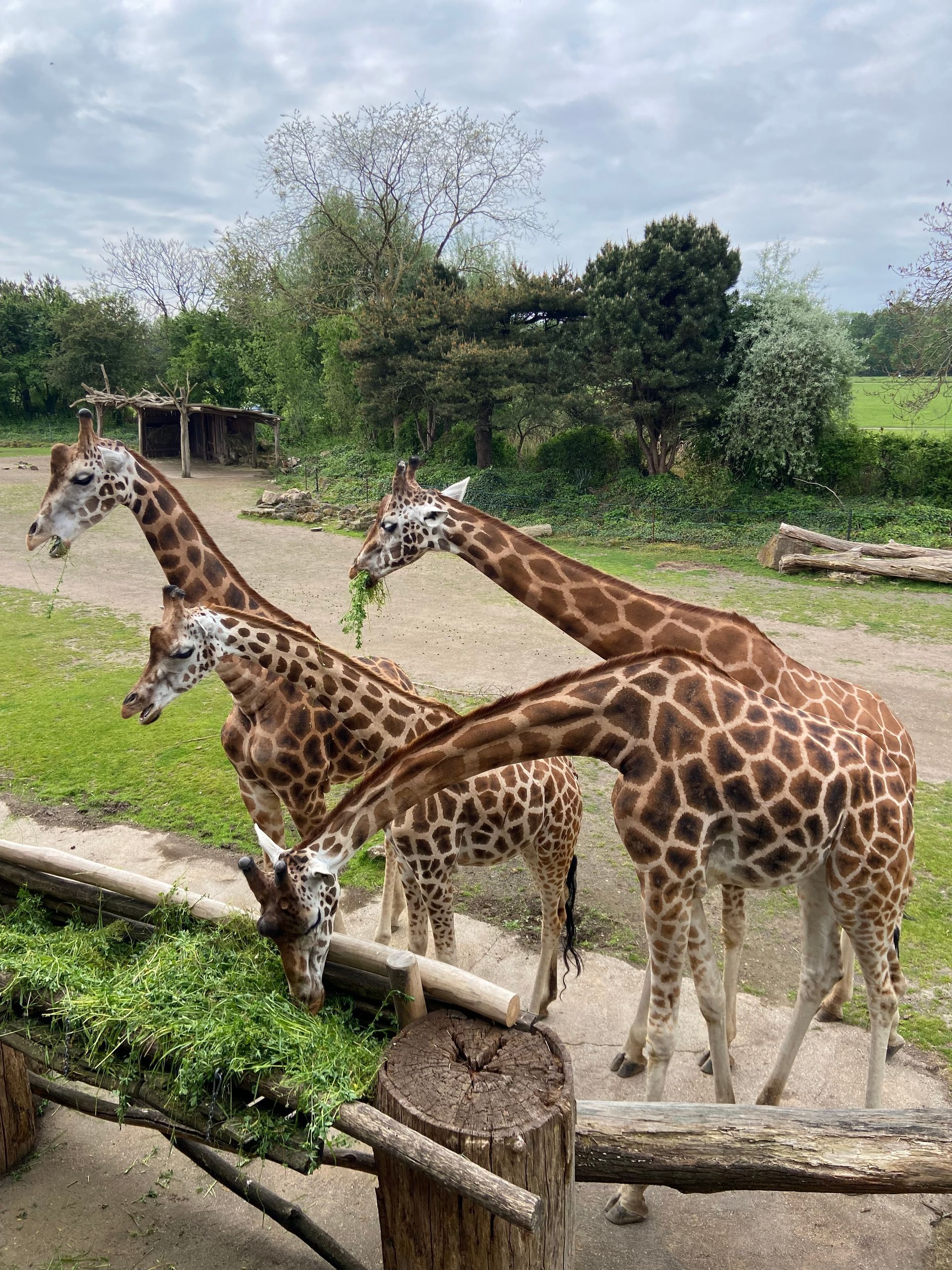 Leipziger Zoo