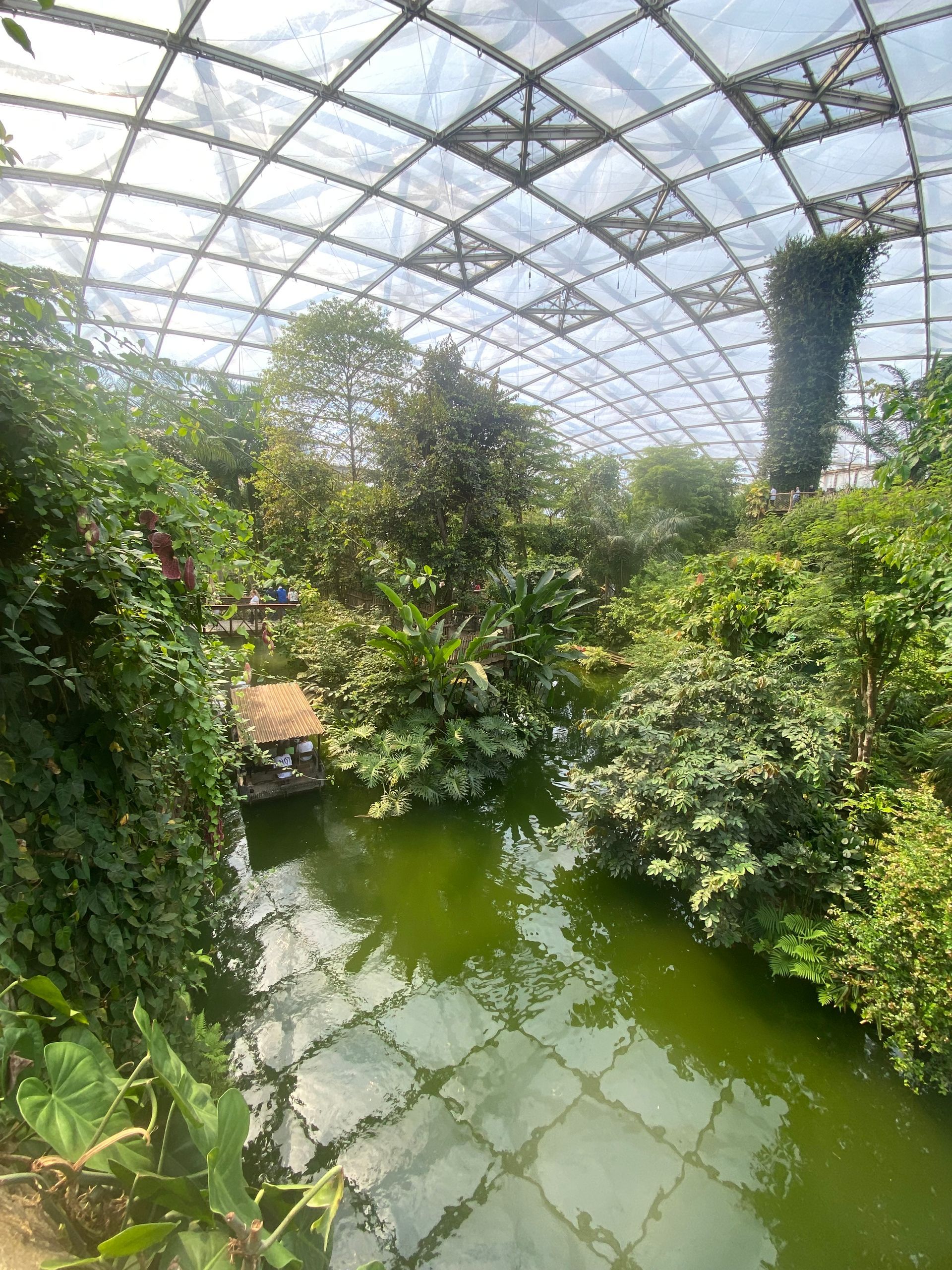 Gondwanaland im Zoo Leipzig