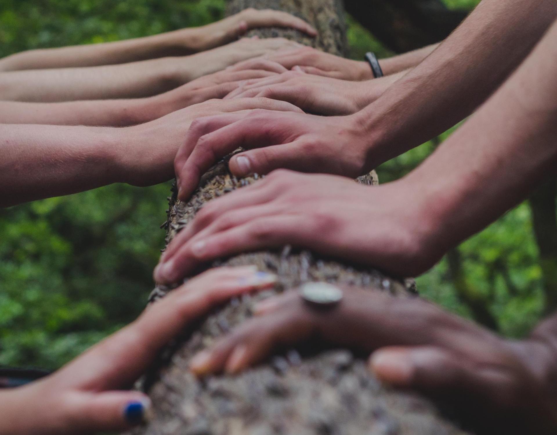 A group of people are putting their hands on a tree trunk.