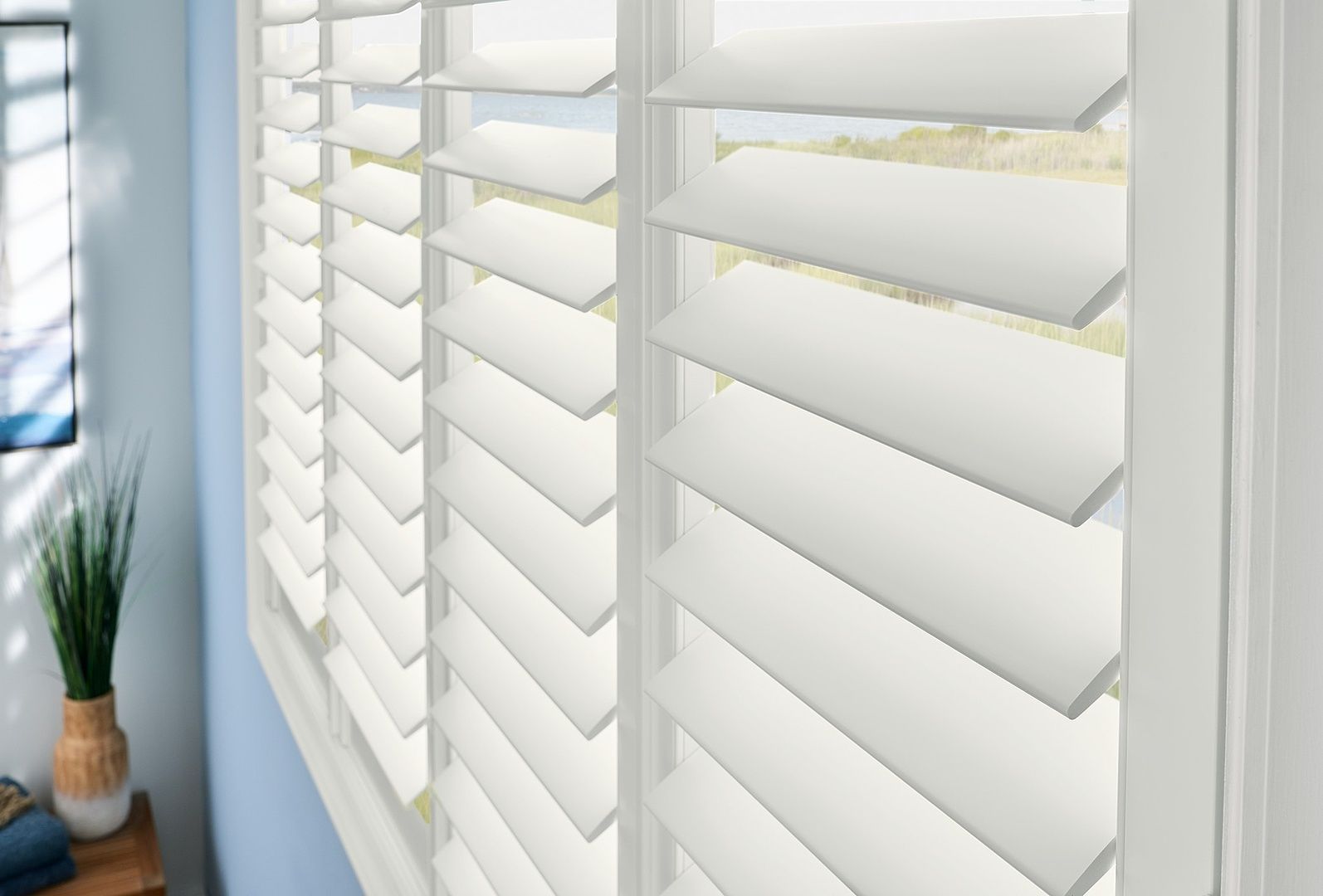 Window Coverings