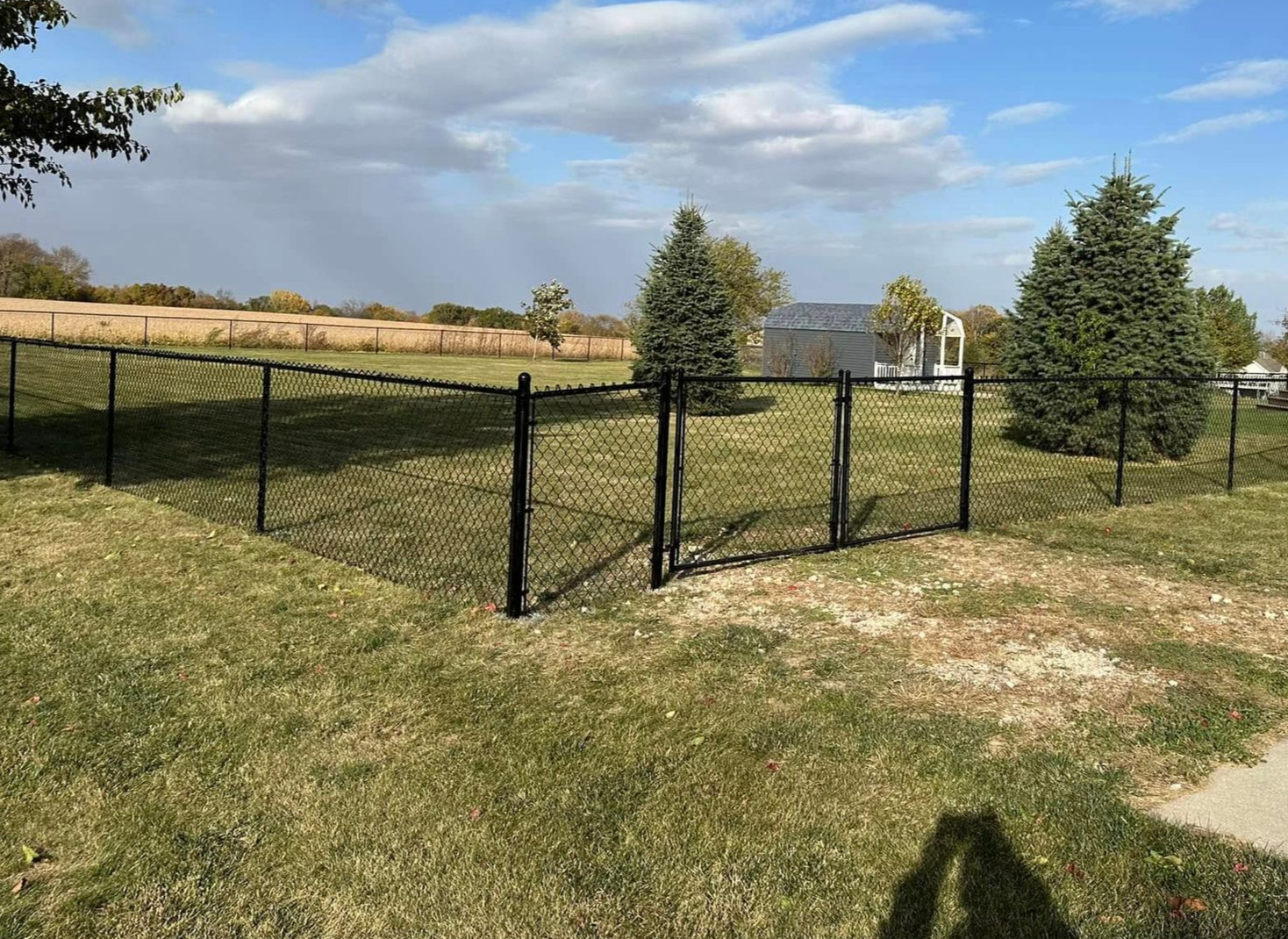 Black metal fence enclosing grassy yard with young trees under a blue sky