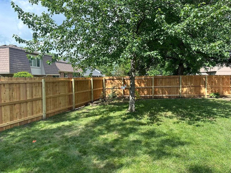 Backyard with green grass, large tree, and wooden fence under a sunny sky