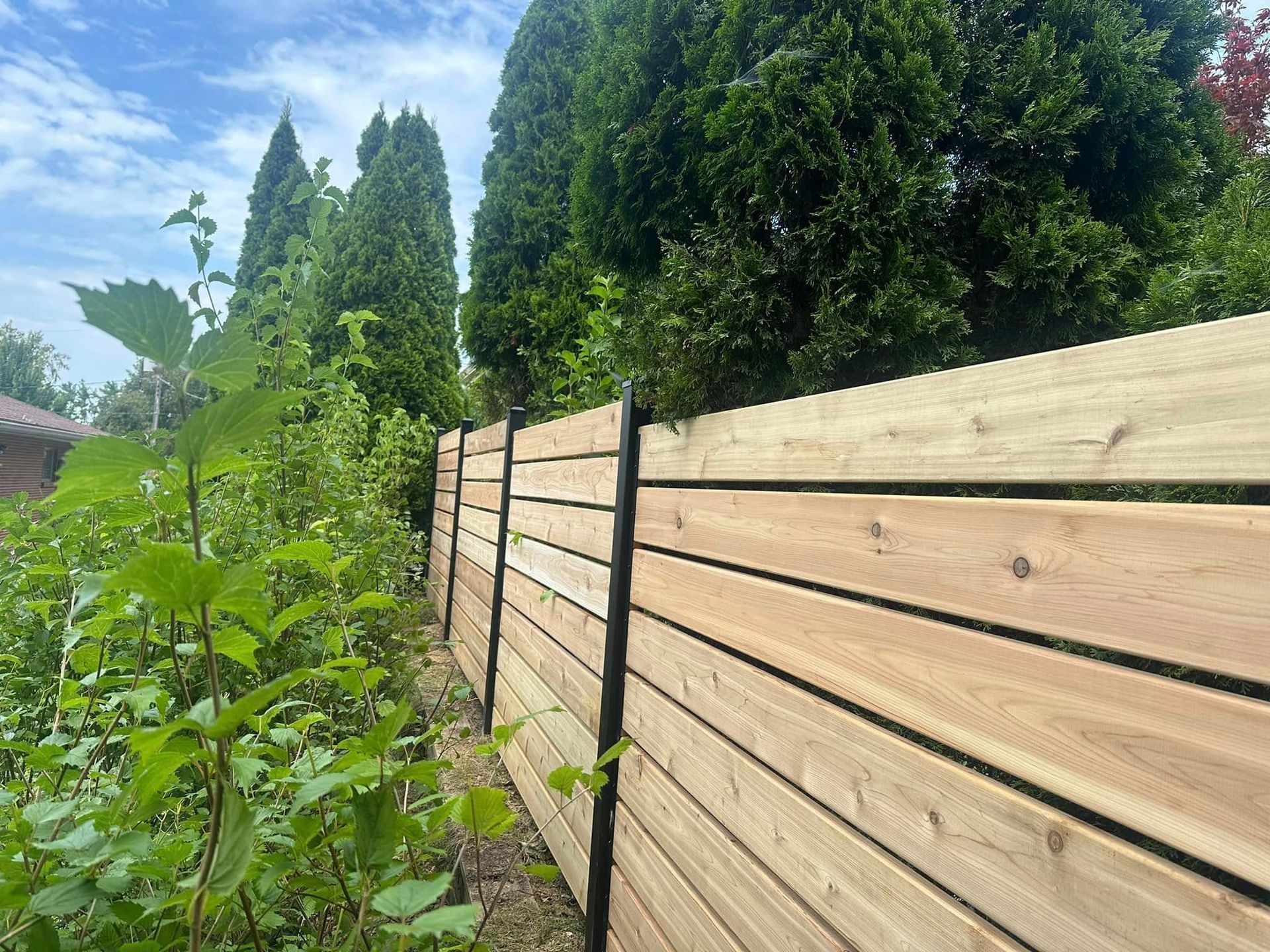 Wooden fence beside green shrubs and tall trees under a blue sky