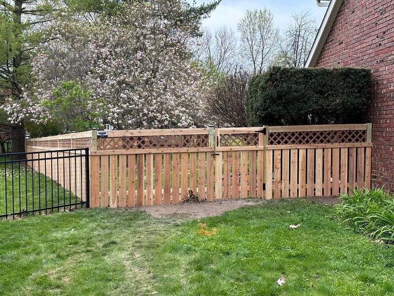 Backyard with wooden fence, black gate, green lawn, and blooming trees beside a brick house.