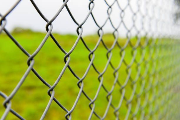 Close-up of a chain-link fence with a blurred green field in the background