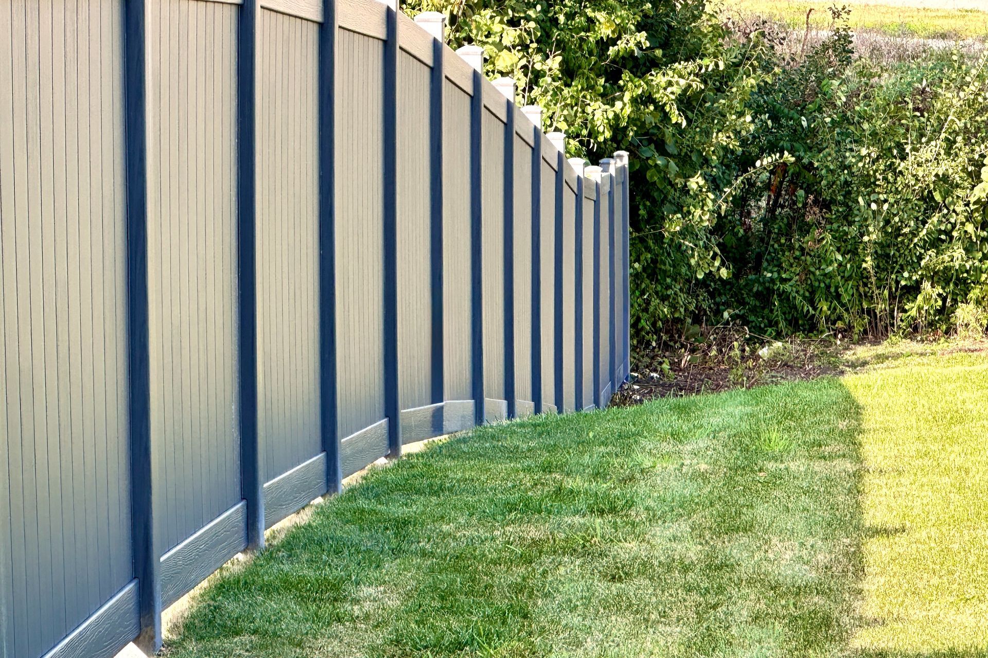 Blue fence along a grassy yard beside trees and bushes