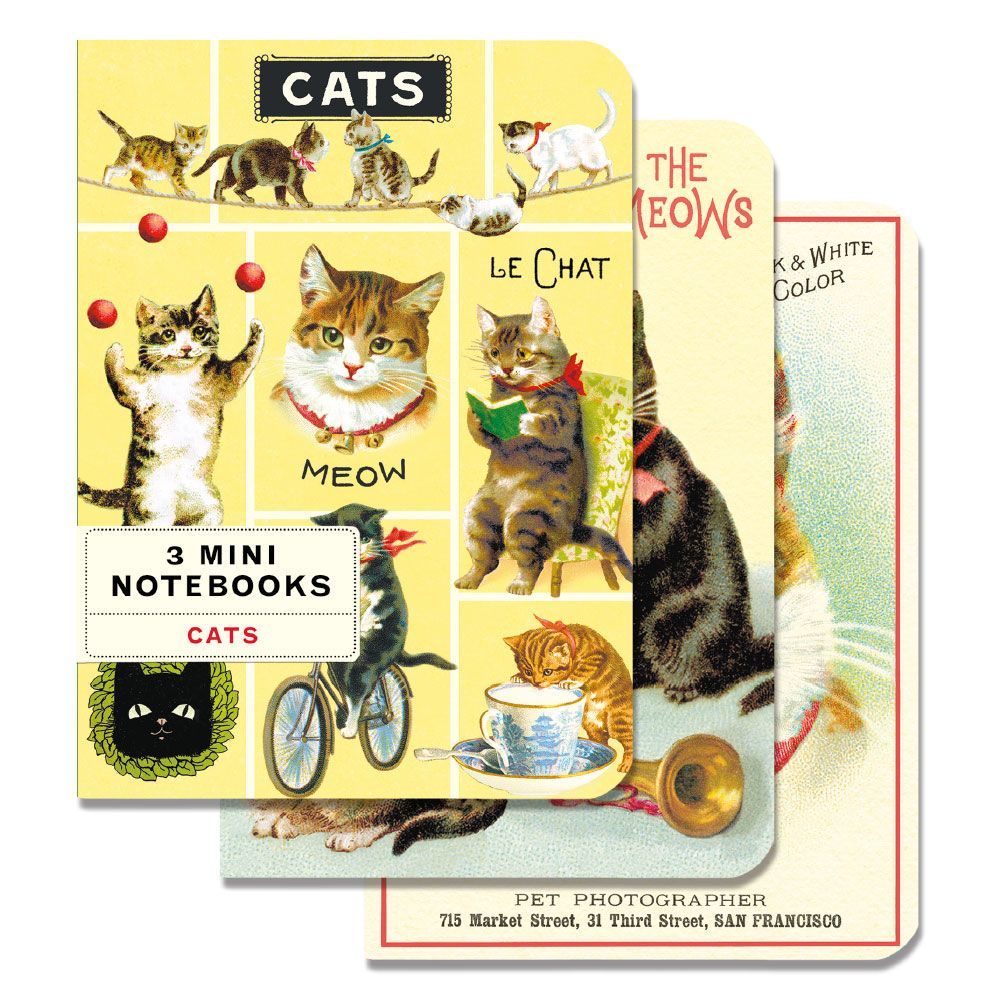 Mini Cuaderno Cats (10X14cm)