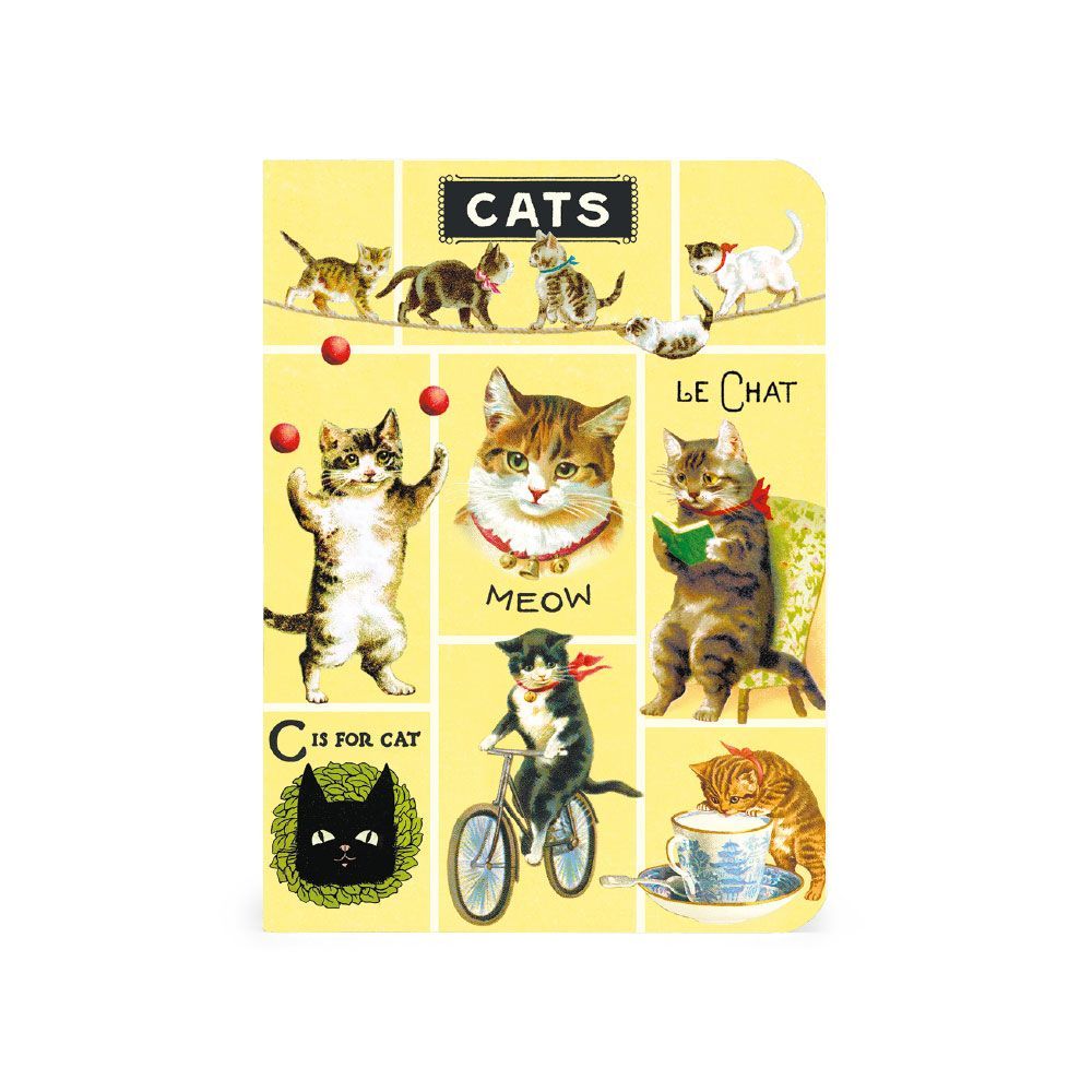 Mini Cuaderno Cats (10X14cm)
