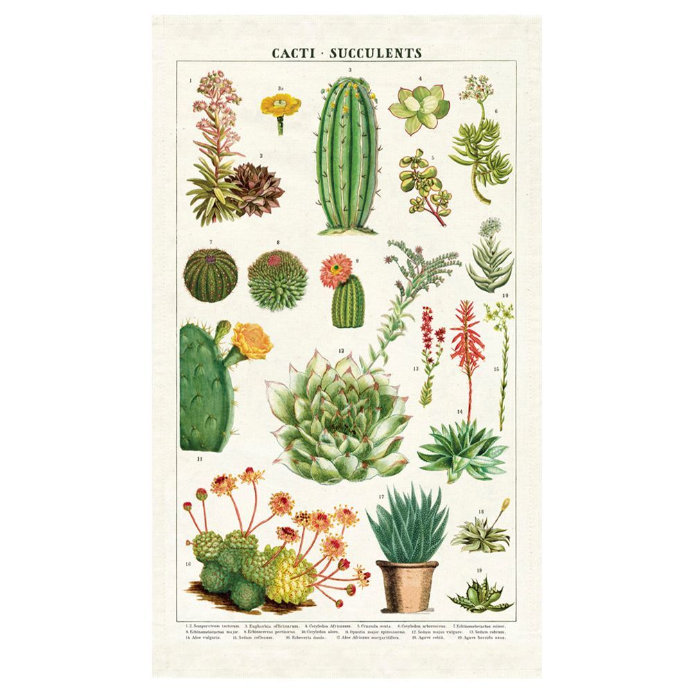 Mantelito de Té Succulents (48X80cm)