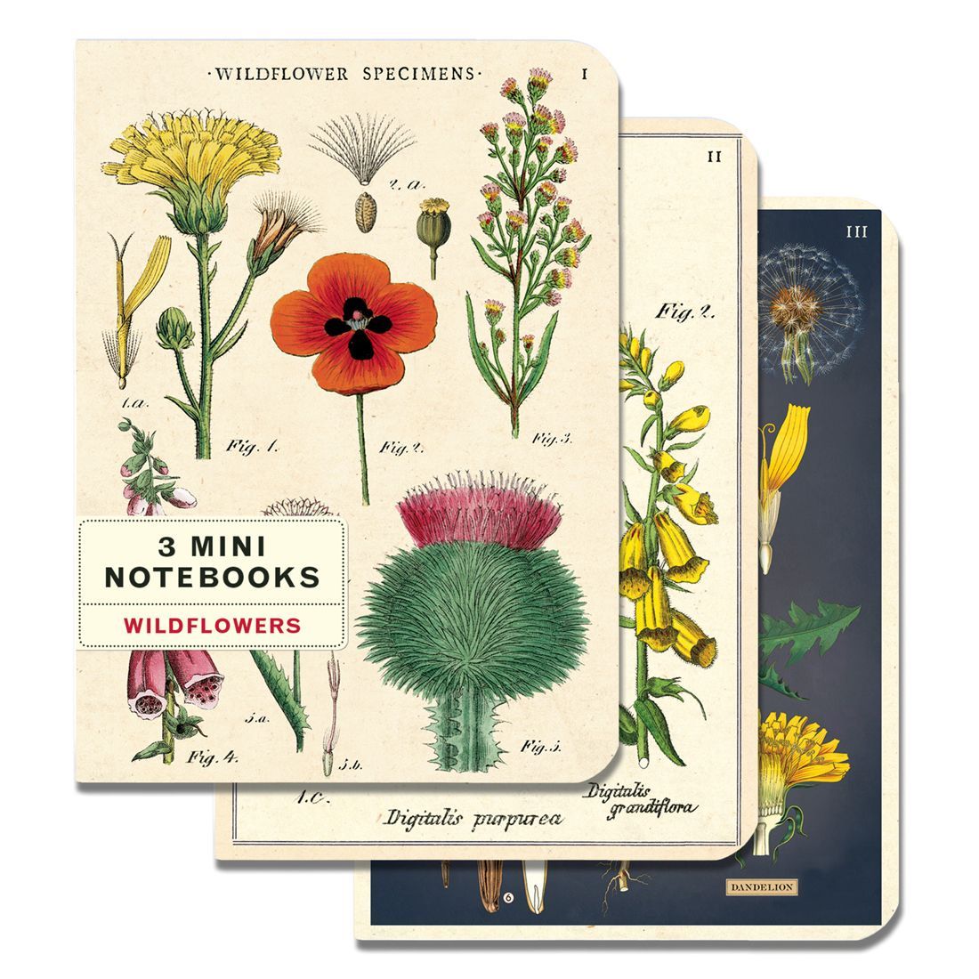 Mini Cuaderno Wildflowers (10X14cm)