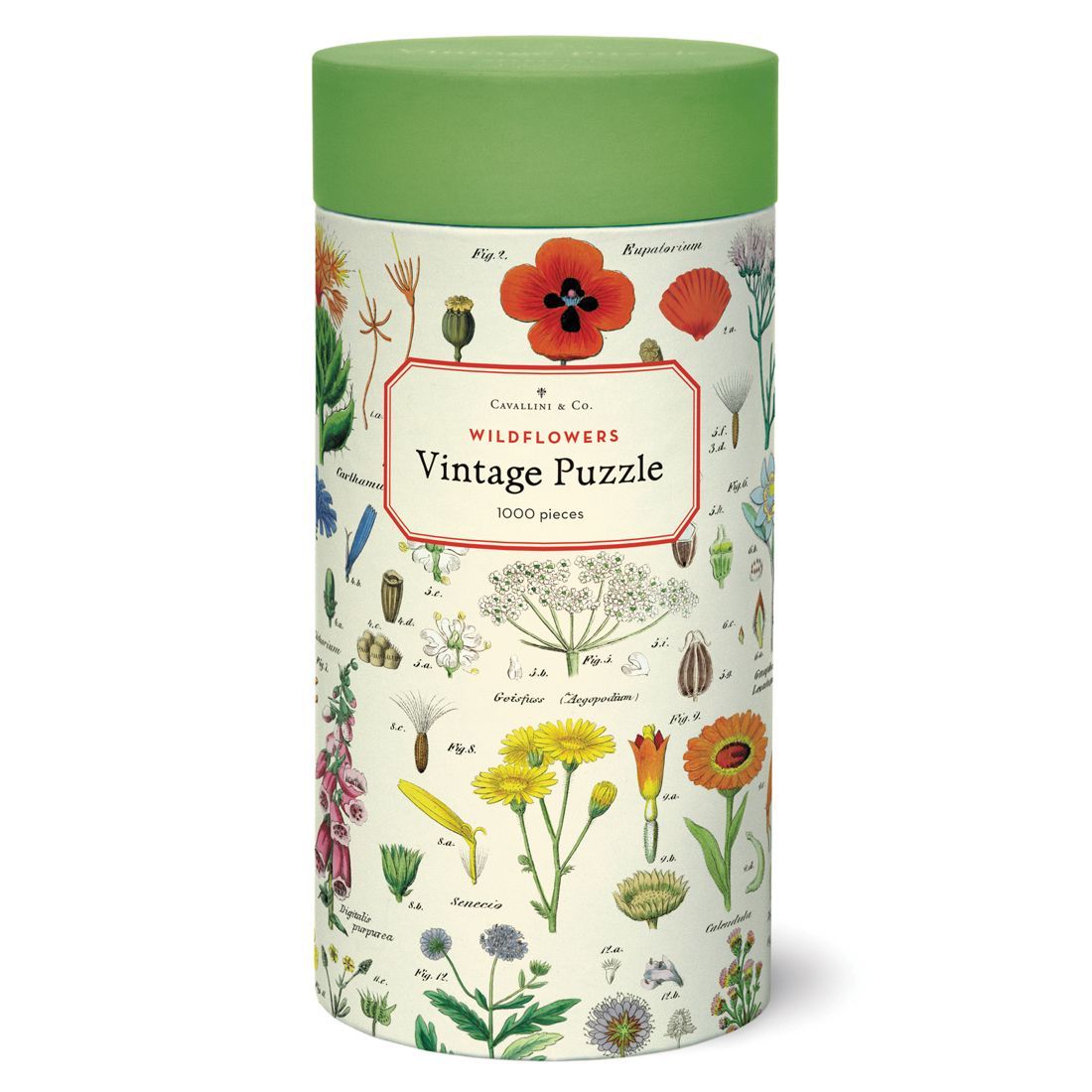 Puzzle Wildflowers 1000 Piezas (55X70cm)