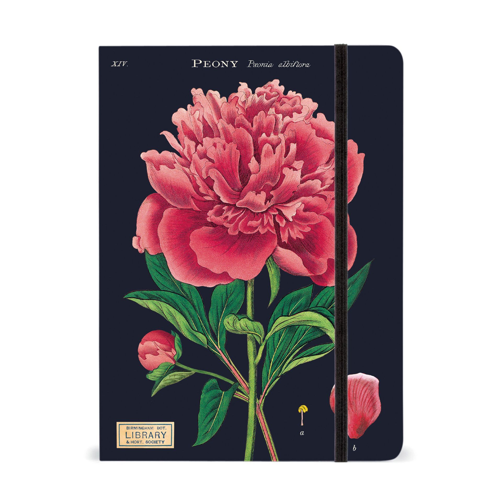 Cuaderno Botany (15X20cm)
