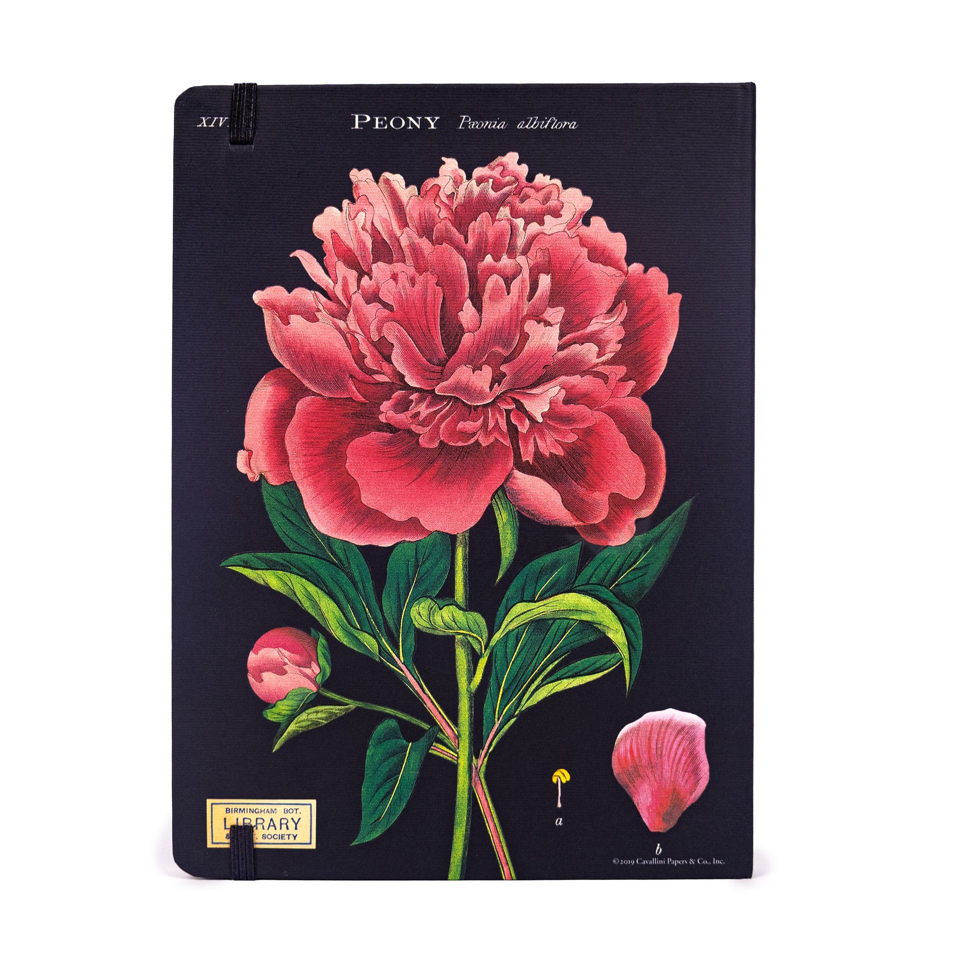 Cuaderno Botany (15X20cm)