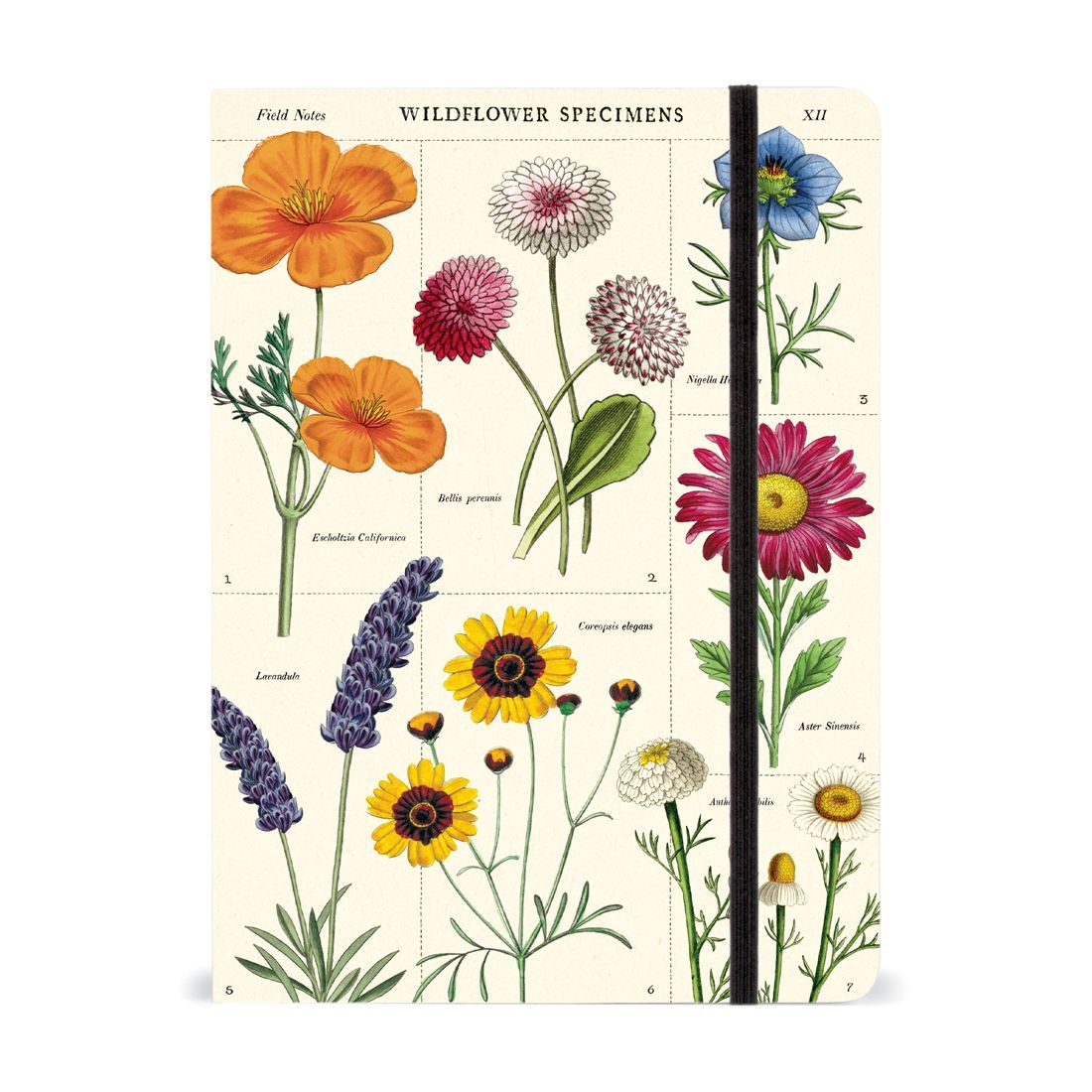 Cuaderno Wildflowers (15X20cm)