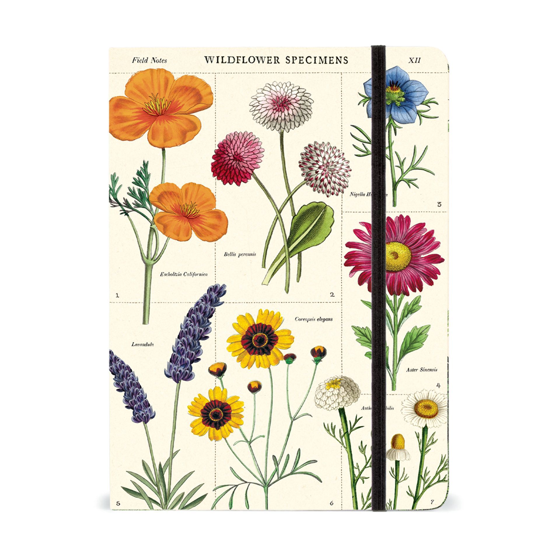 Cuaderno Wildflowers (15X20cm)