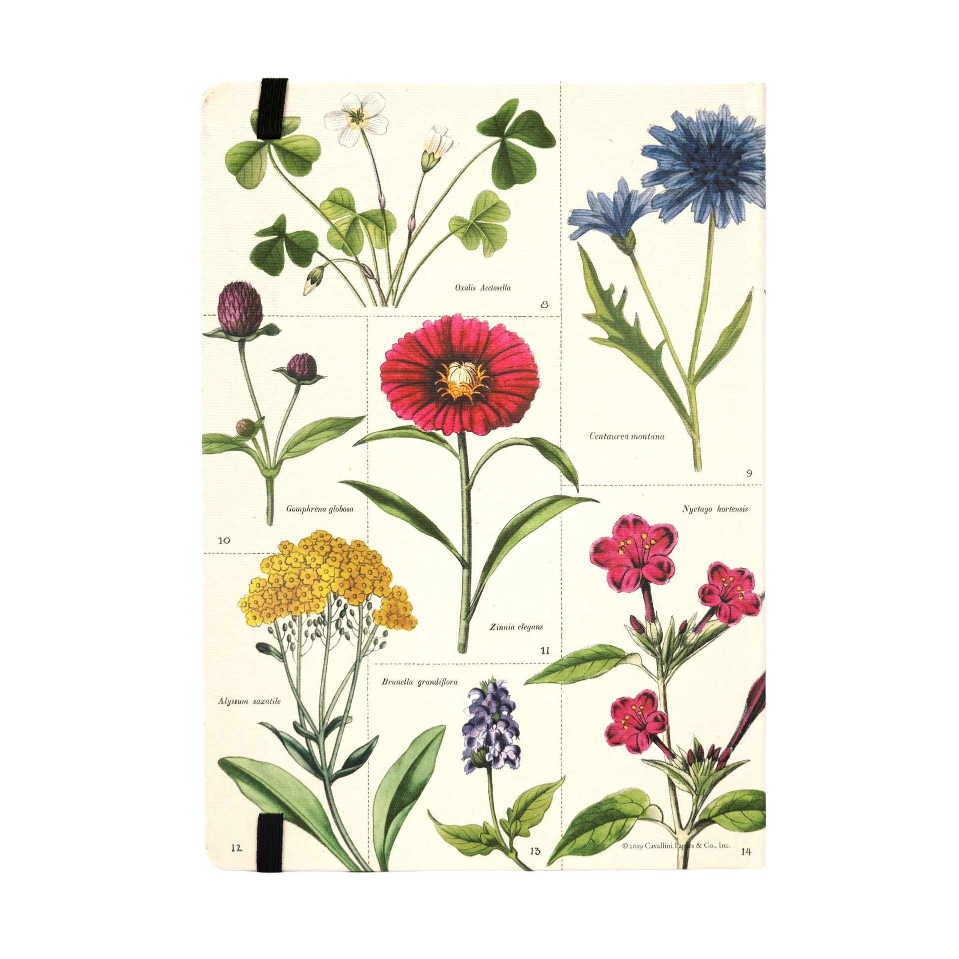 Cuaderno Wildflowers (15X20cm)