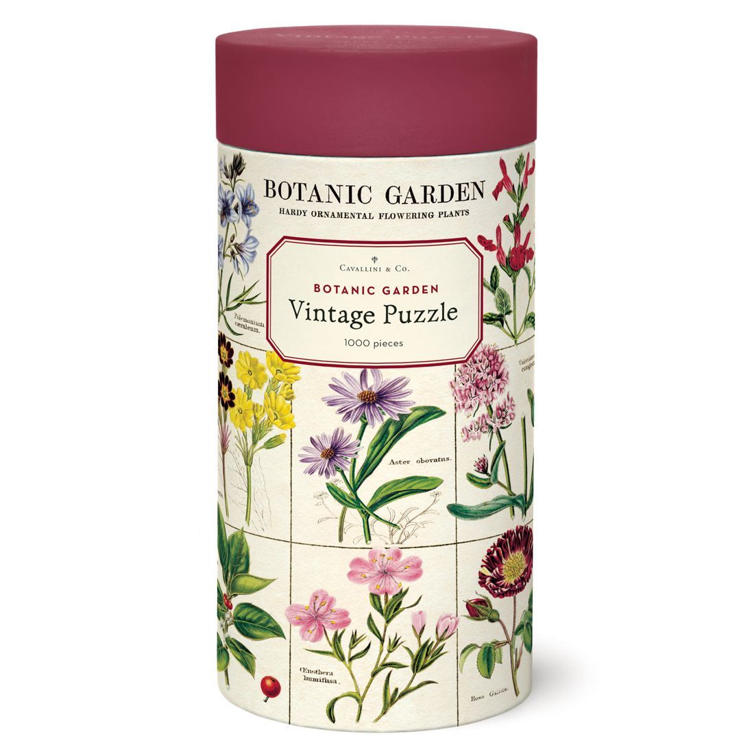 Puzzle Botanic Garden 1000 Piezas (55X70cm)