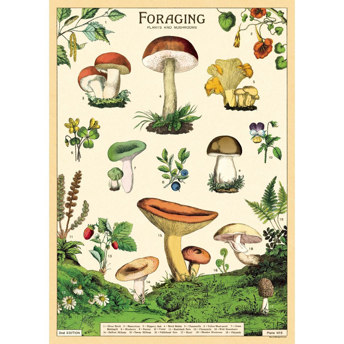 Póster Foraging (50X70cm)