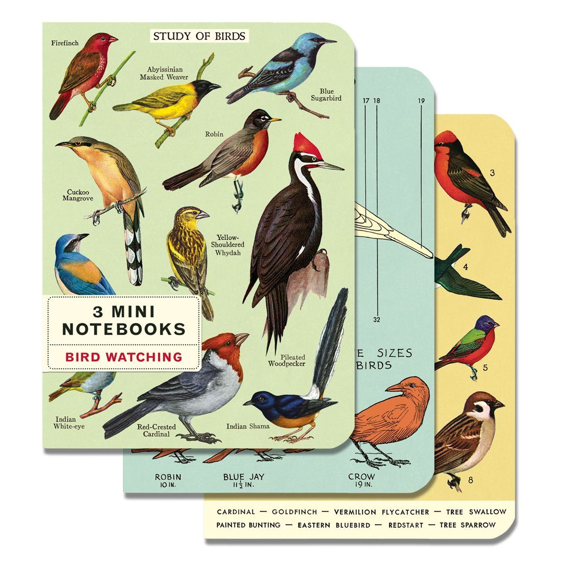 Mini Cuaderno Bird Watching (10X14cm)