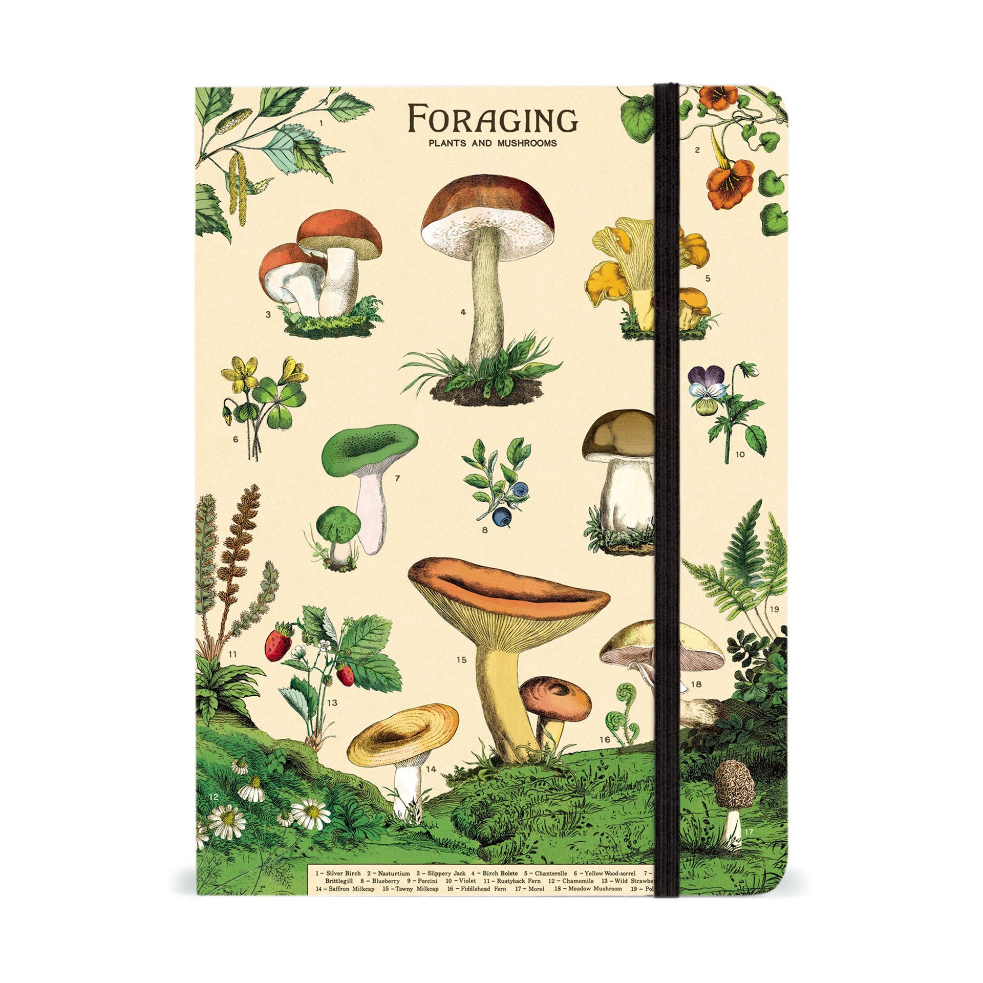 Cuaderno Foraging (15X20cm)