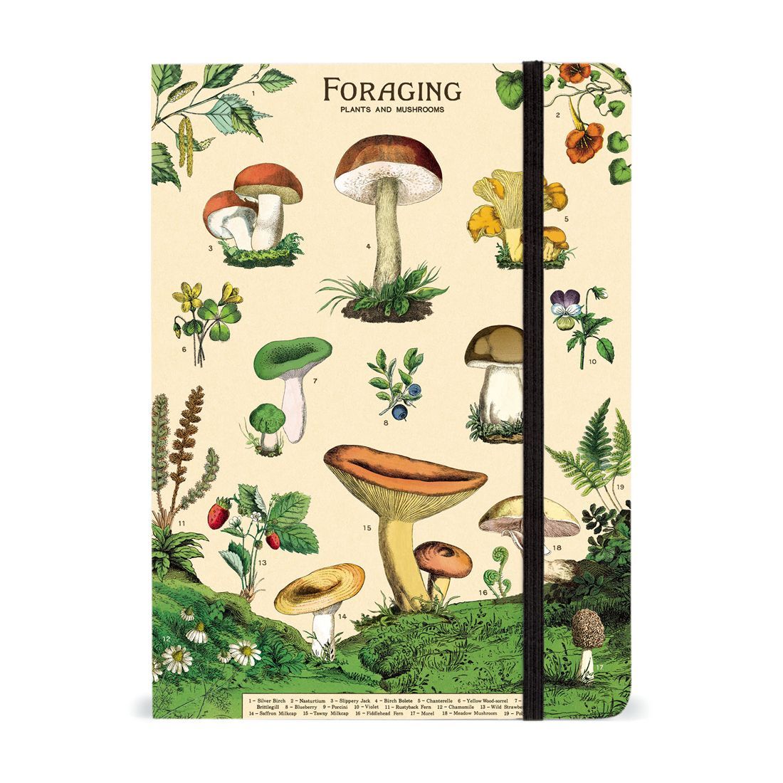 Cuaderno Foraging (15X20cm)