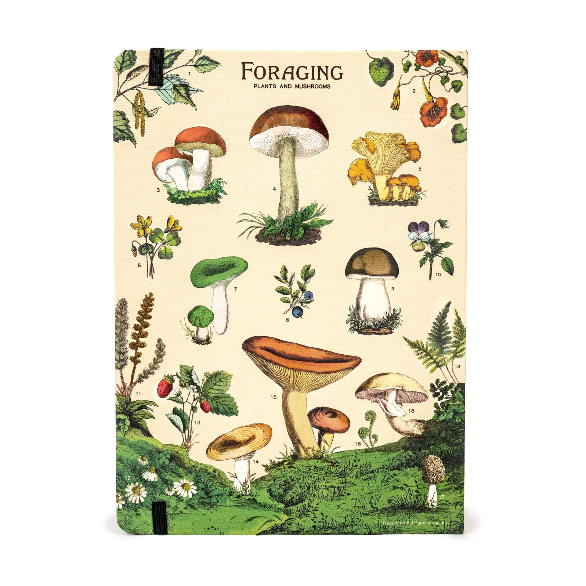Cuaderno Foraging (15X20cm)