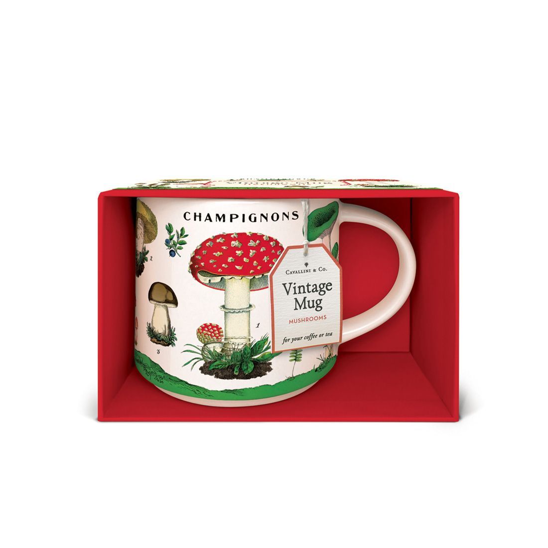 Taza Vintage Mushrooms