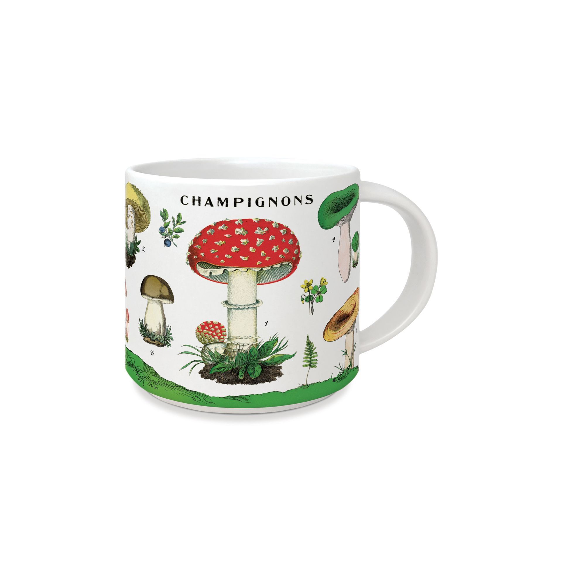 Taza Vintage Mushrooms