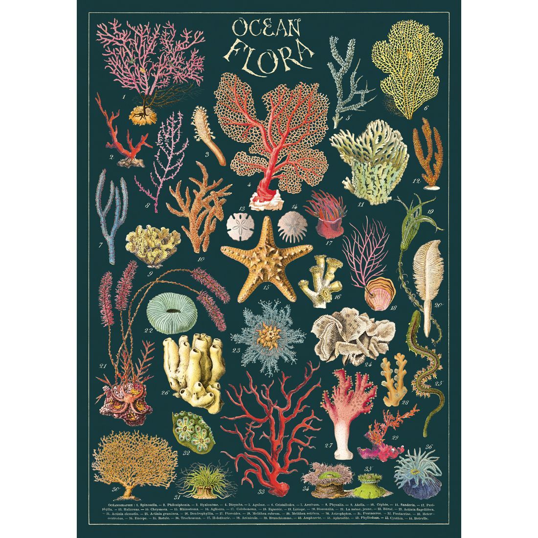 Póster Ocean Flora (50X70cm)