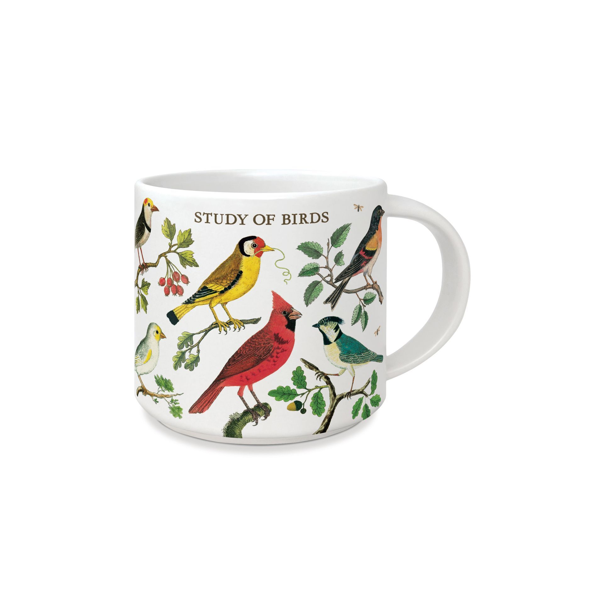 Taza Vintage Birds
