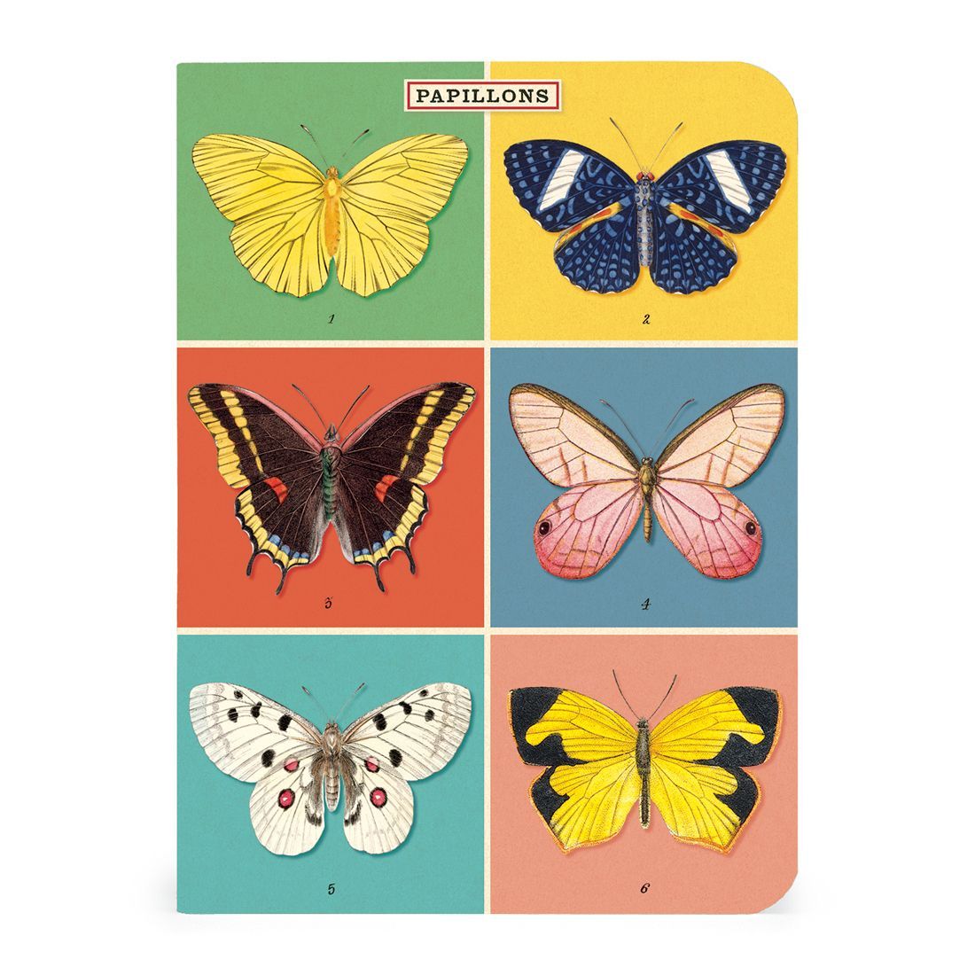 Mini Cuaderno Butterflies (10X14cm)