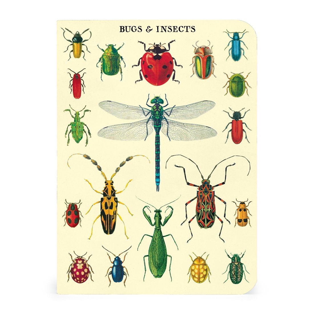 Mini Cuaderno Bugs & Insects (10X14cm)