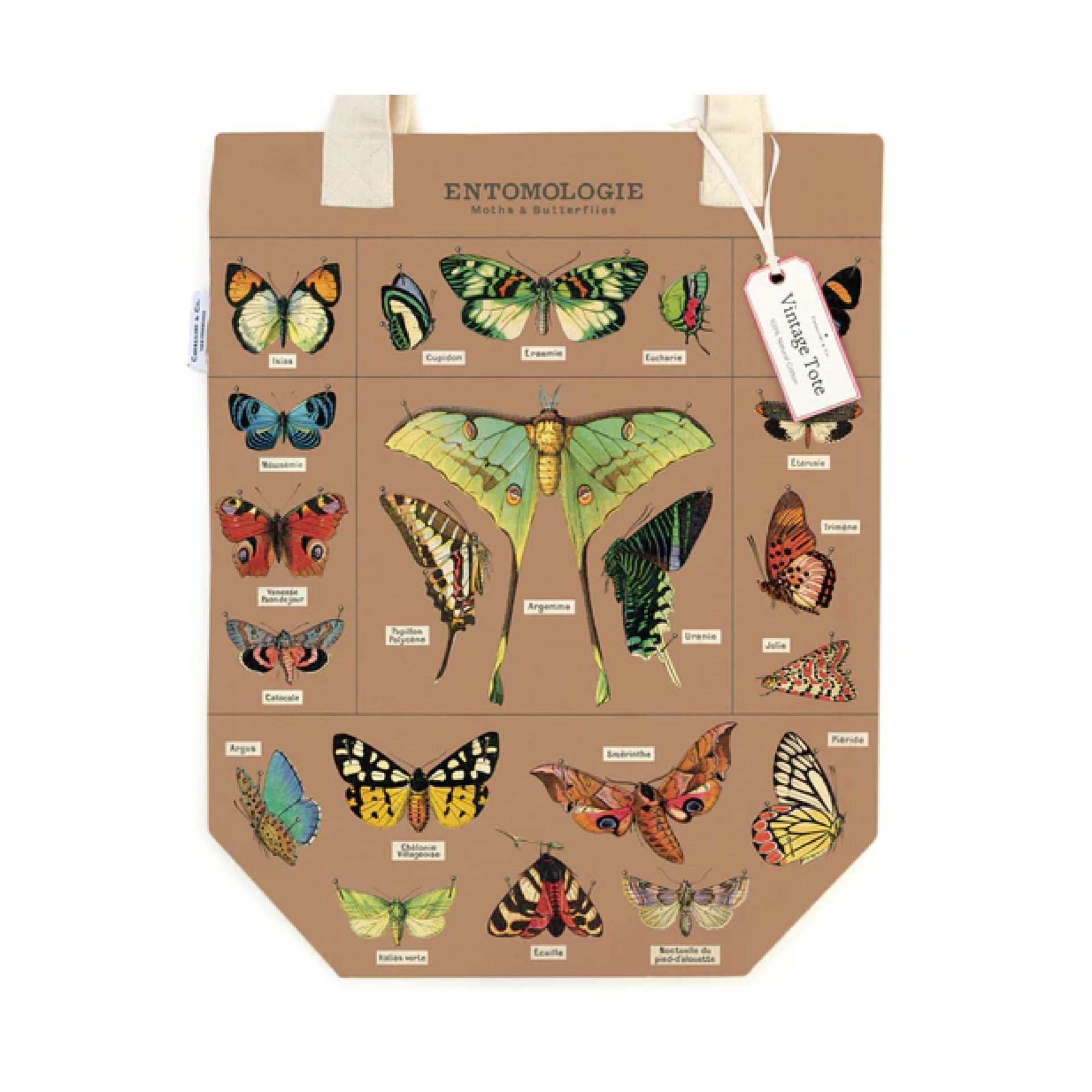 Tote Bag Entomology (33X40.5cm)