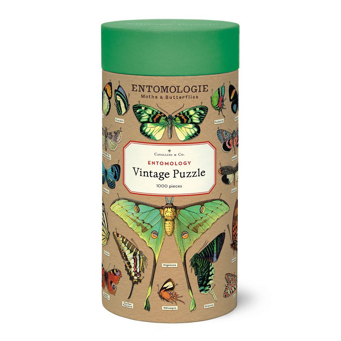 Puzzle Entomology 1000 Piezas (55X70cm)