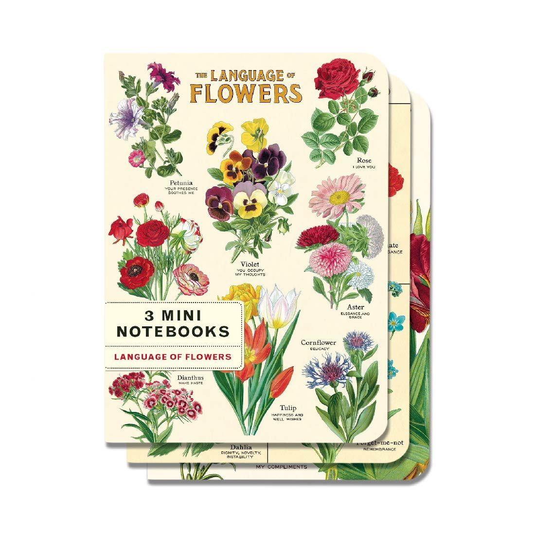 Mini Cuaderno Language of Flowers (10X14cm)