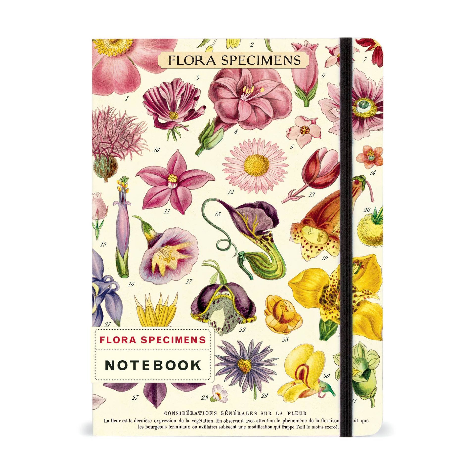 Cuaderno Flora Specimens (15X20cm)