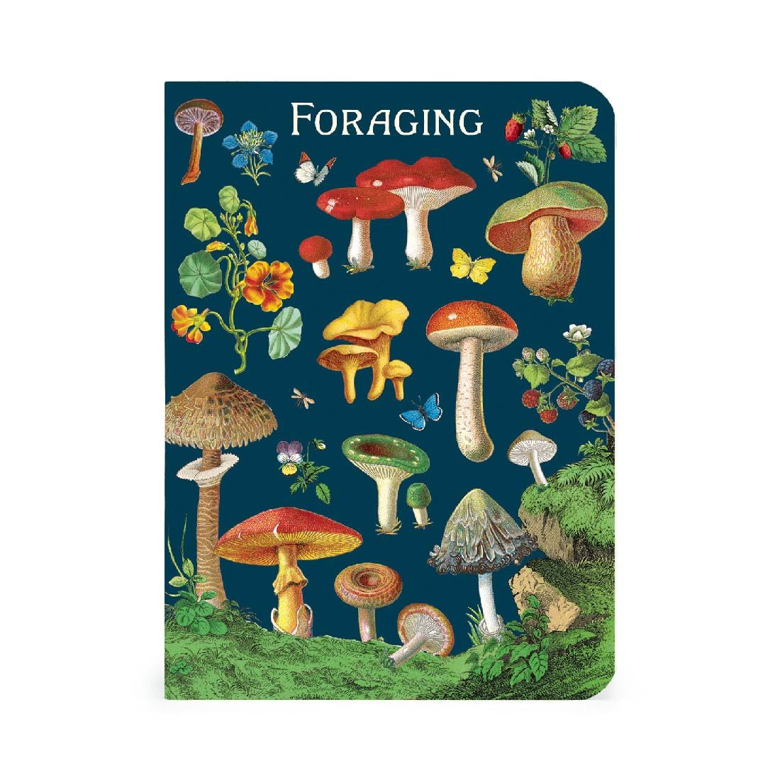 Mini Cuaderno Foraging (10X14cm)