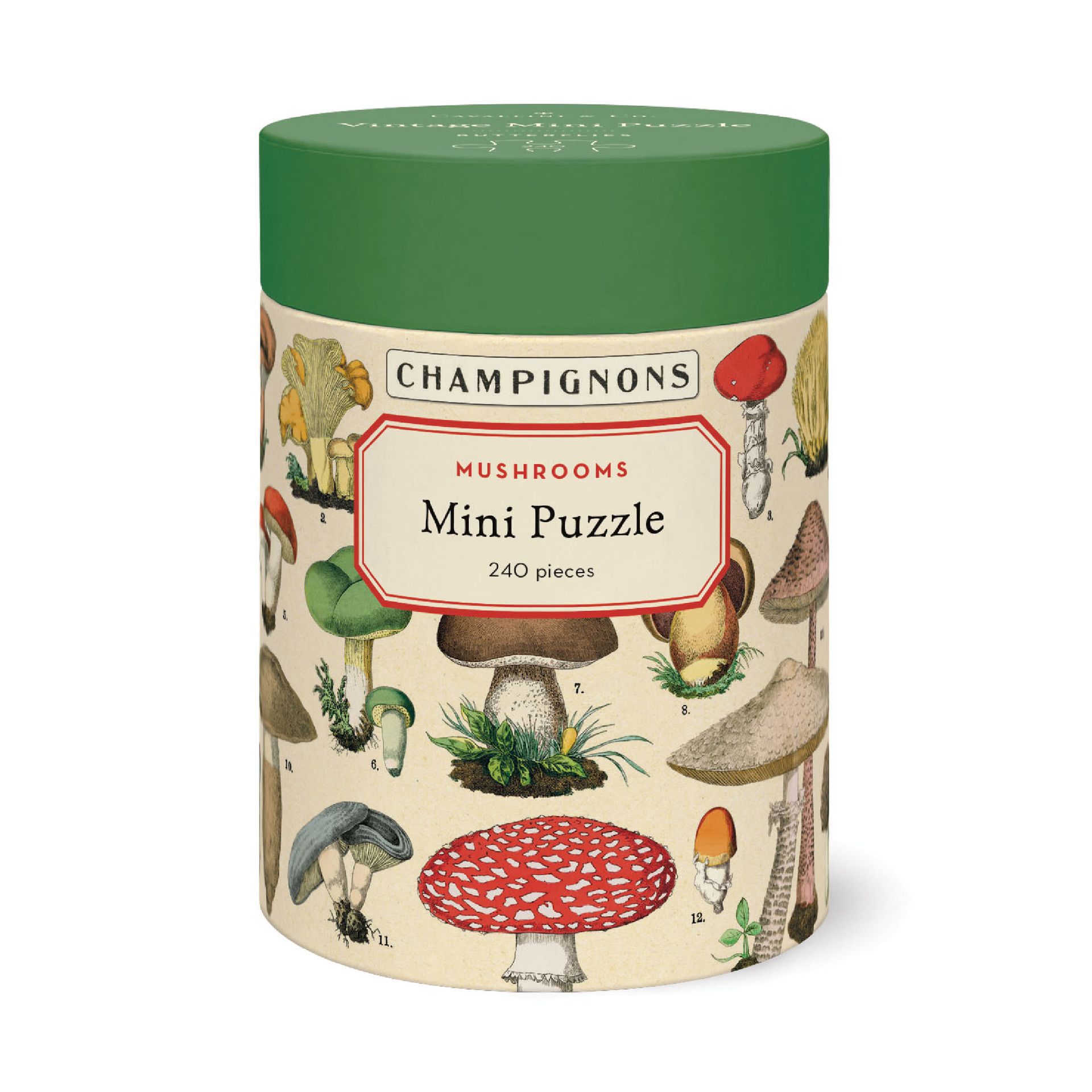 Puzzle Mushrooms 240 Piezas (27X35cm)