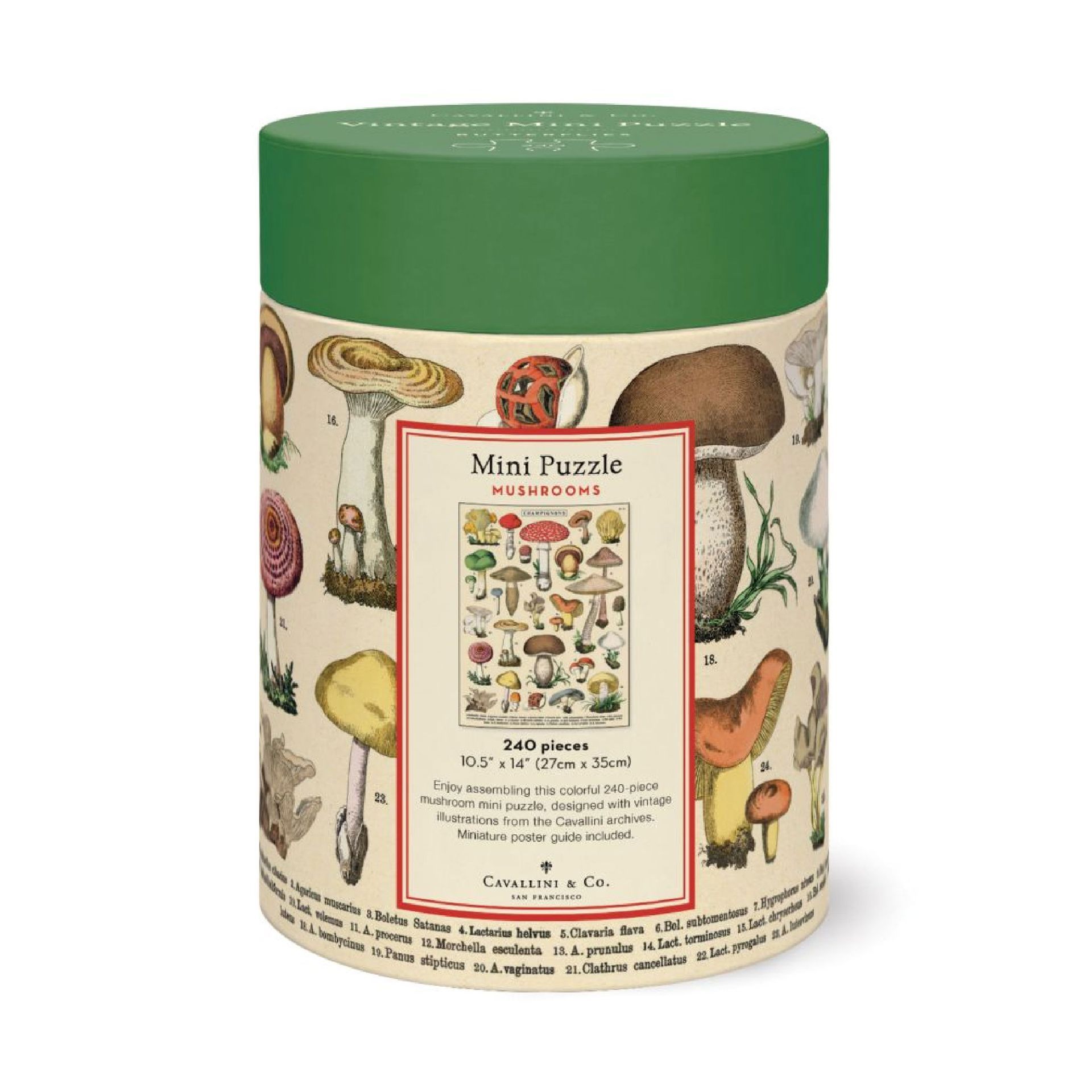 Puzzle Mushrooms 240 Piezas (27X35cm)
