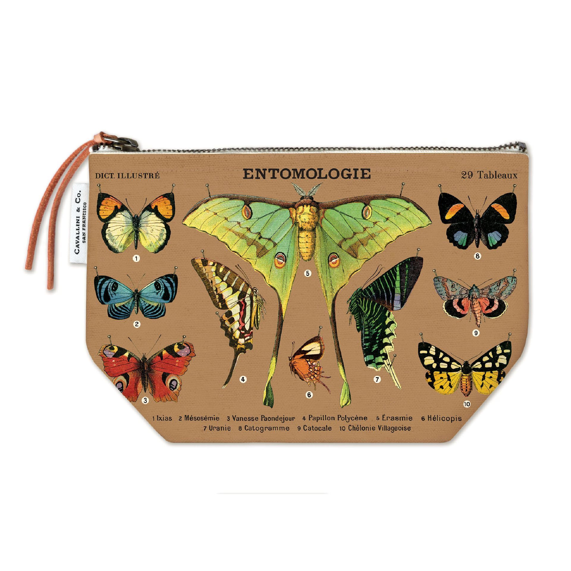Bolso Vintage Entomology (15X22cm)