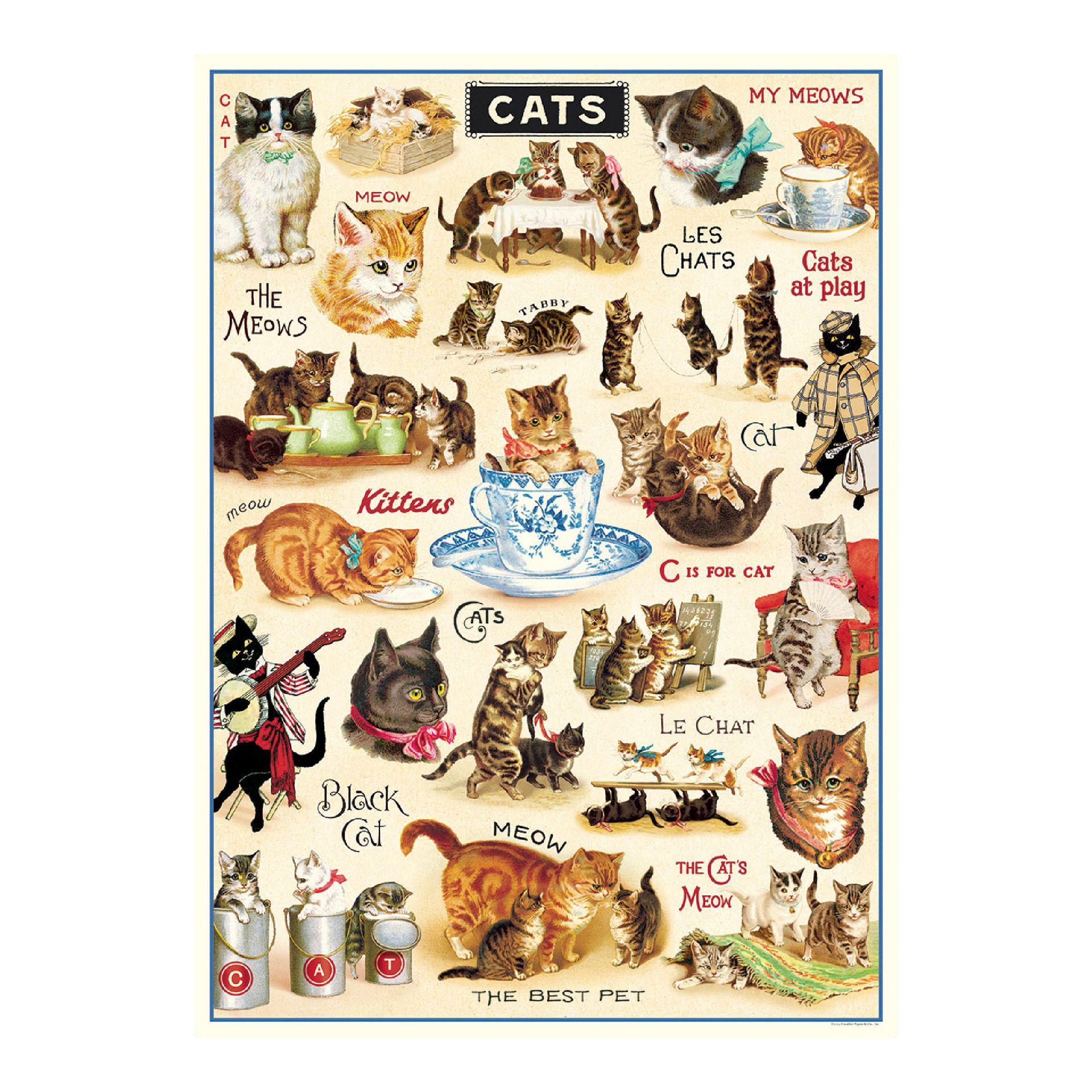 Póster Vintage Cats 2 (50X70cm)