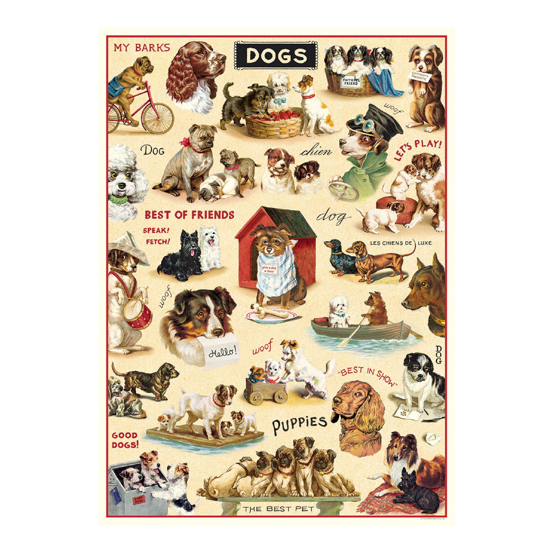 Póster Vintage Dogs 2 (50X70cm)