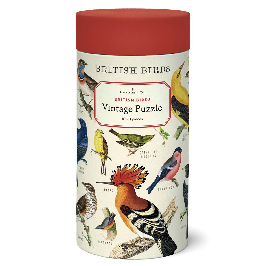 Puzzle British Birds 1000 Piezas (55x70cm)