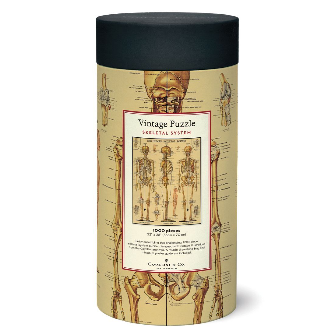 Puzzle Skeletal System 1000 Piezas (55X70cm)