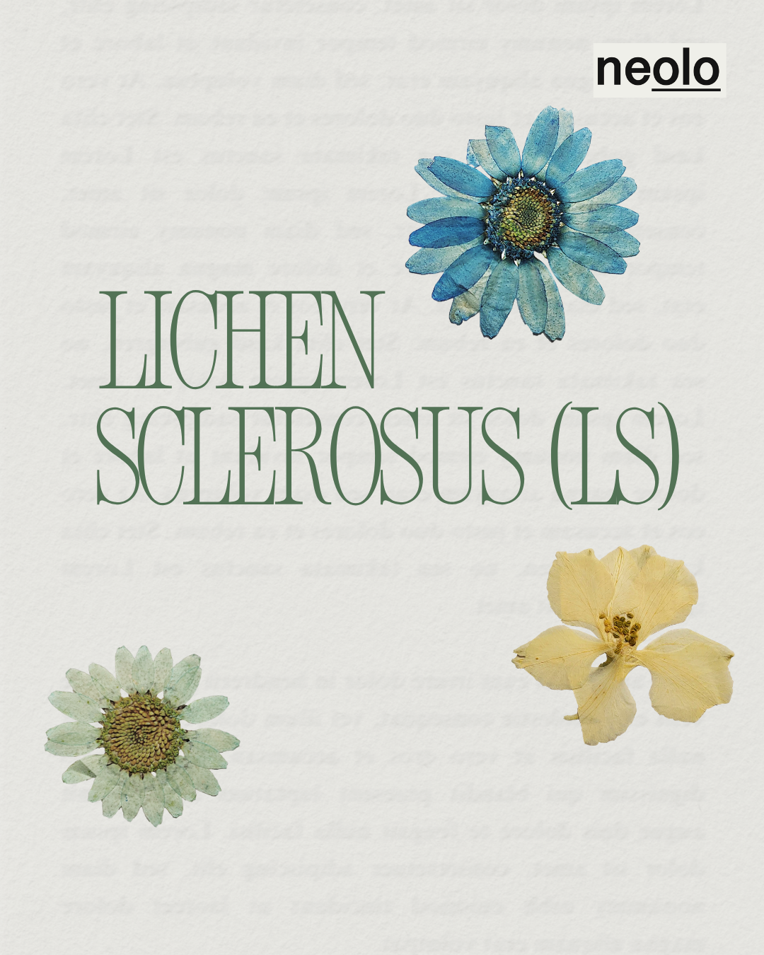 NEOLO Intimöl für die natürliche Unterstützung und Pflege bei Lichen Sclerosus