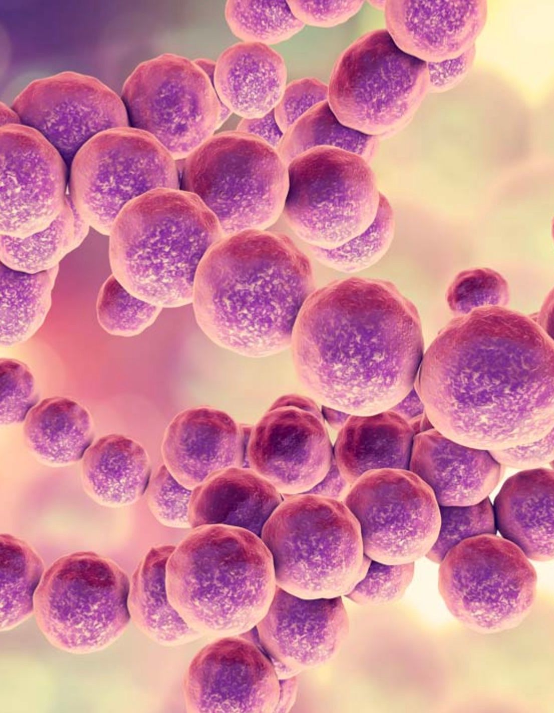 Vaginales Mikrobiom, so bleibt die Vaginalflora im Gleichgewicht | NEOLO