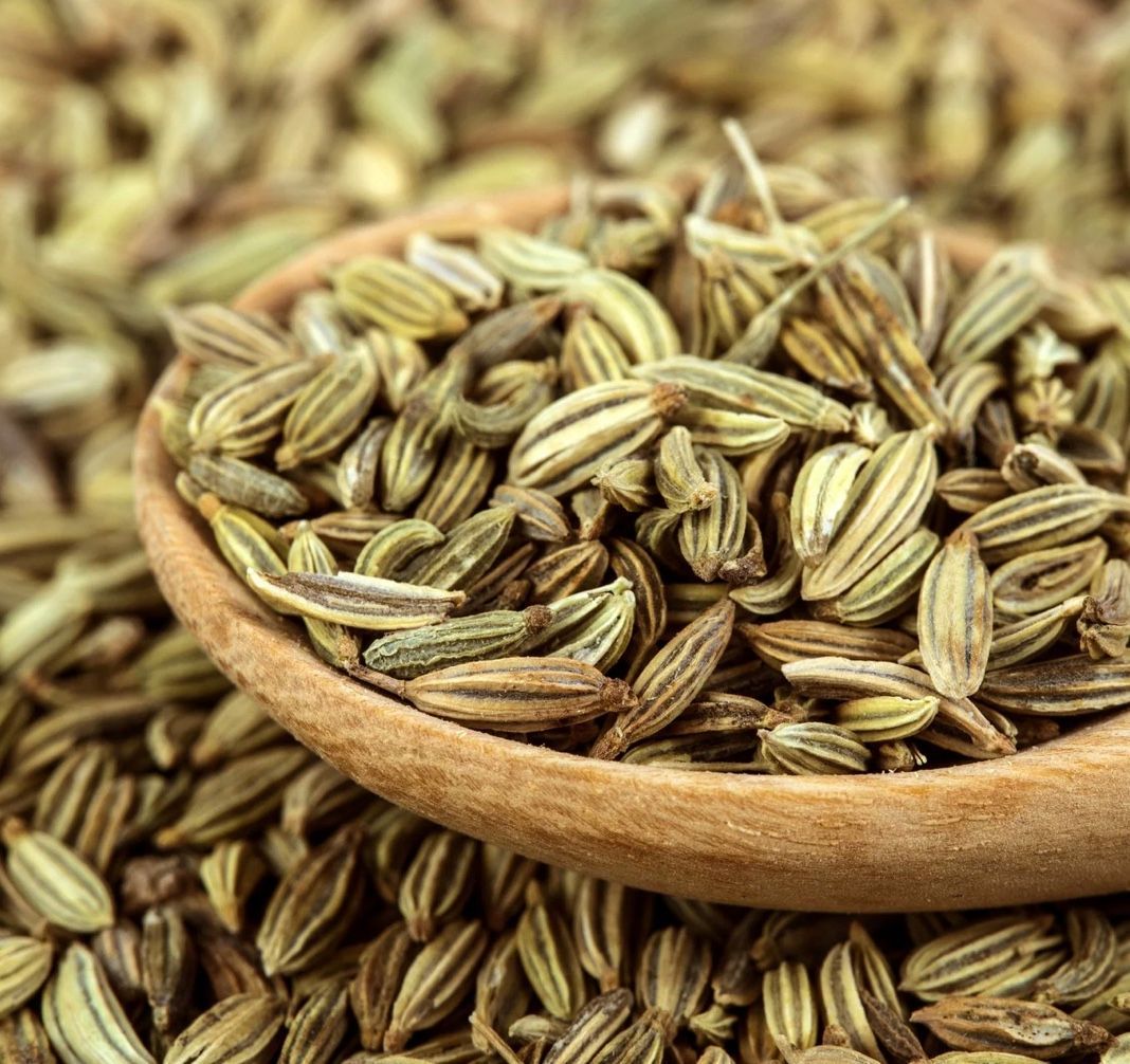 NEOLO, INTIM OIL, soin intime, fenouil, huile de lin, infections urinaires simples, la cystite, vessie irritable, atrophie vaginale, sécheresse vaginale, vagin sec